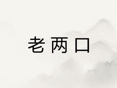 老两口