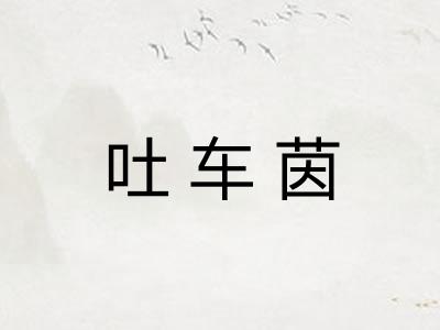 吐车茵 吐车茵