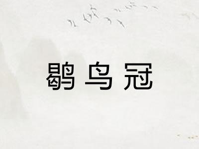 鹖鸟冠 鹖鸟冠