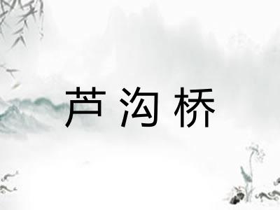 芦沟桥 芦沟桥