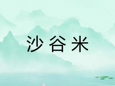 沙谷米