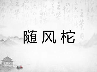 随风柁