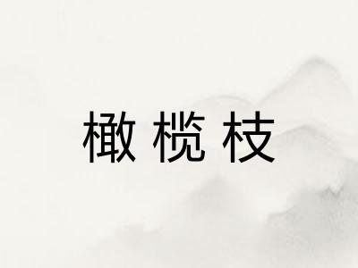 橄榄枝 橄榄枝