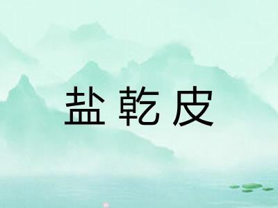 盐乾皮 盐乾皮