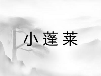 小蓬莱 小蓬莱