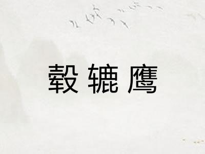 毂辘鹰 毂辘鹰