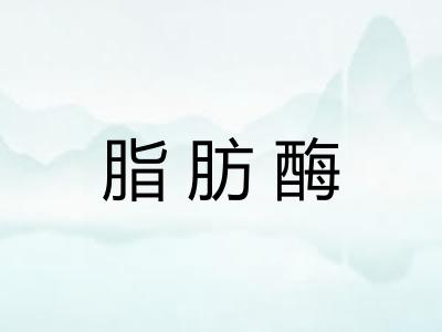 脂肪酶