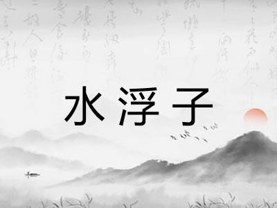 水浮子 水浮子