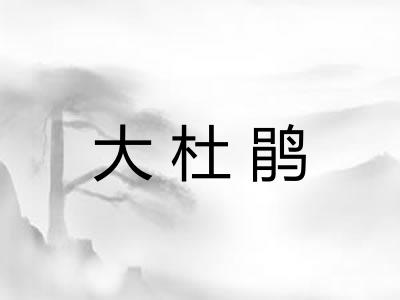 大杜鹃 大杜鹃