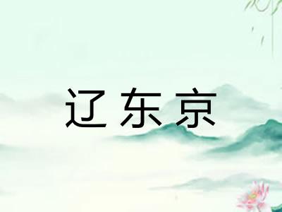 辽东京 辽东京