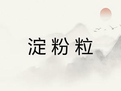 淀粉粒