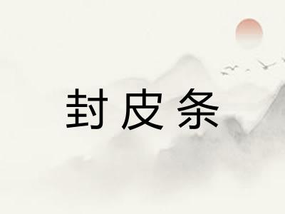 封皮条 封皮条