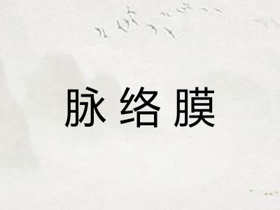 脉络膜