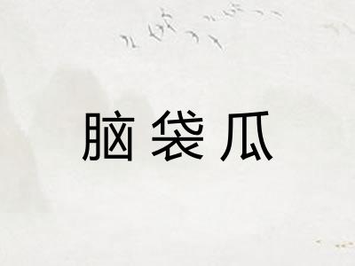 脑袋瓜 脑袋瓜