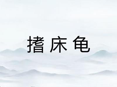搘床龟 搘床龟