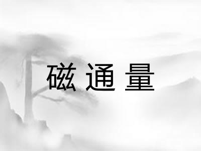 磁通量 磁通量