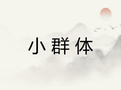 小群体 小群体