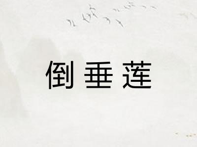 倒垂莲 倒垂莲