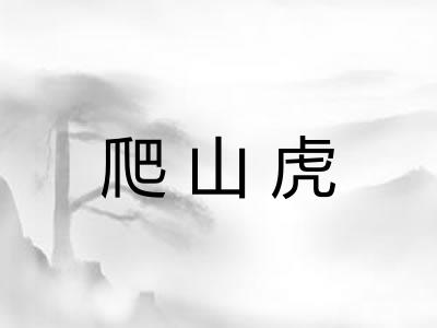 爬山虎 爬山虎