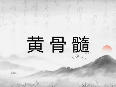 黄骨髓 黄骨髓