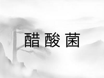 醋酸菌 醋酸菌