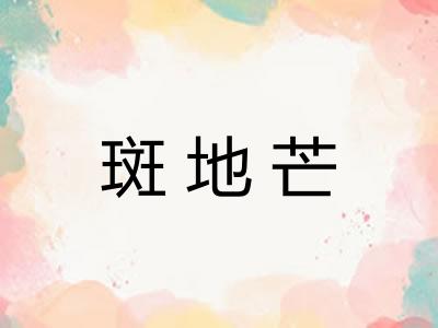 斑地芒 斑地芒