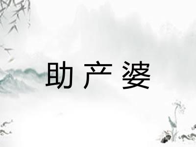 助产婆 助产婆