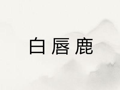 白唇鹿