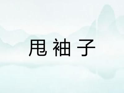 甩袖子 甩袖子