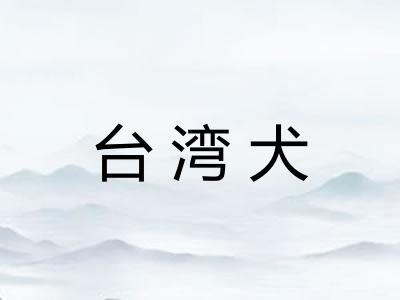 台湾犬 台湾犬