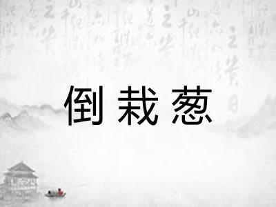倒栽葱