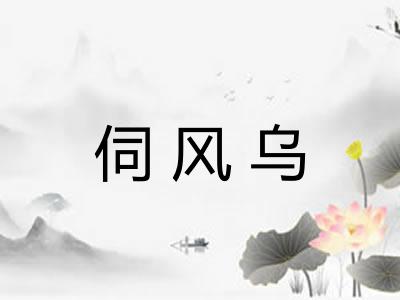 伺风乌