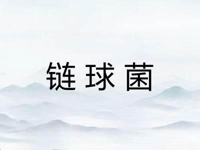 链球菌 链球菌