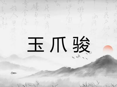 玉爪骏
