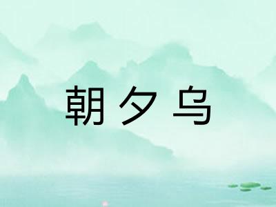 朝夕乌