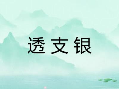 透支银 透支银