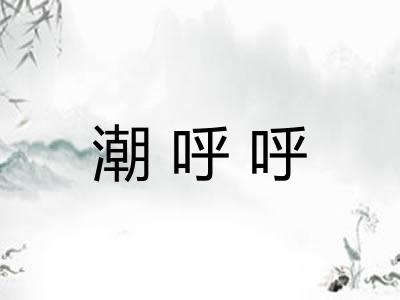 潮呼呼 潮呼呼