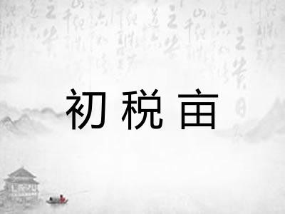 初税亩