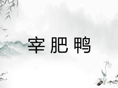 宰肥鸭 宰肥鸭