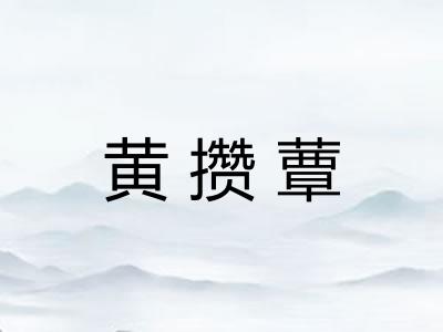 黄攒蕈 黄攒蕈