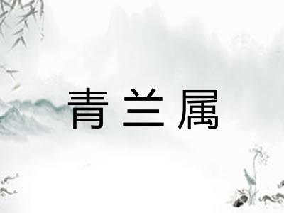 青兰属