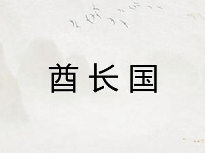 酋长国 酋长国