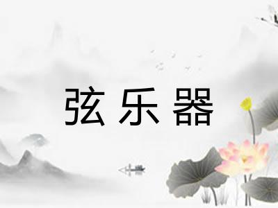 弦乐器 弦乐器