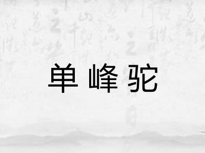 单峰驼
