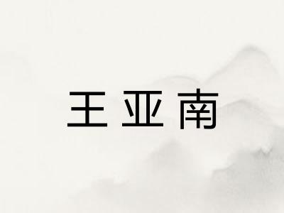 王亚南