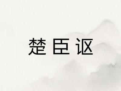 楚臣讴