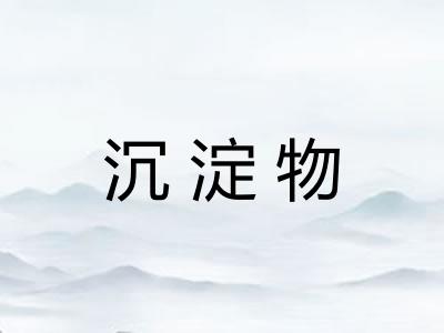 沉淀物 沉淀物