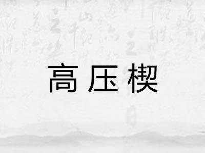 高压楔 高压楔