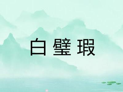 白璧瑕