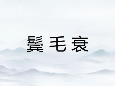 鬓毛衰